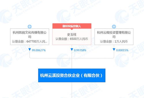 快讯 史玉柱再次被冻结6500万股权